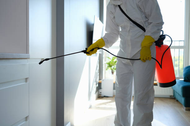 Professional Mold Remediation in Wildwood, MO
